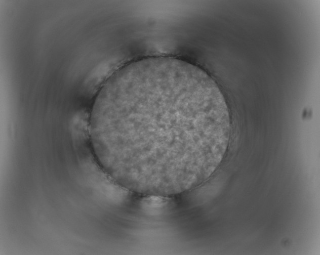 X0000112730672200909101453