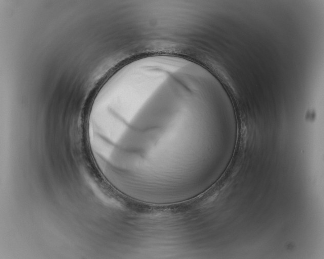 X0000112730674200909101452