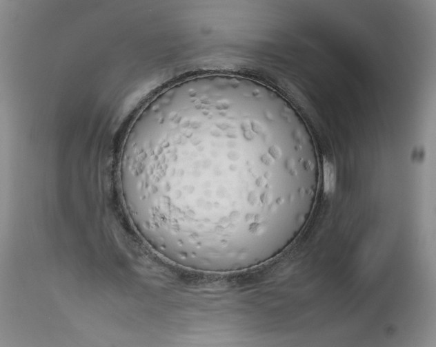 X0000112730675200909101452