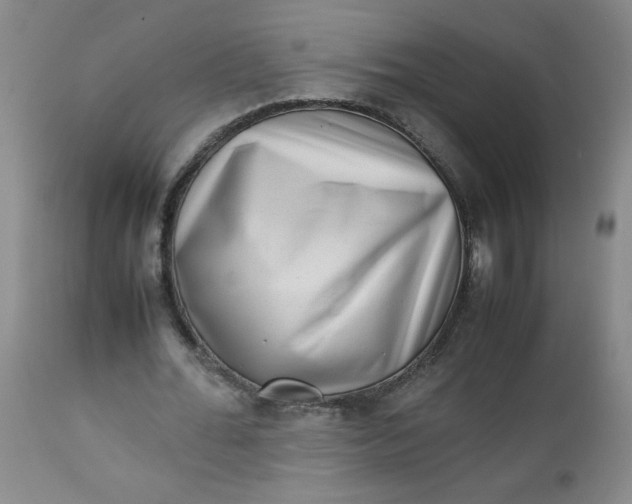 X0000112730676200909101452