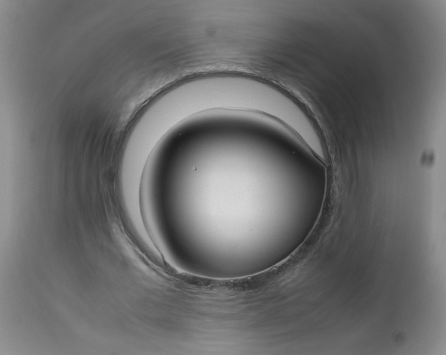 X0000112730677200909101452