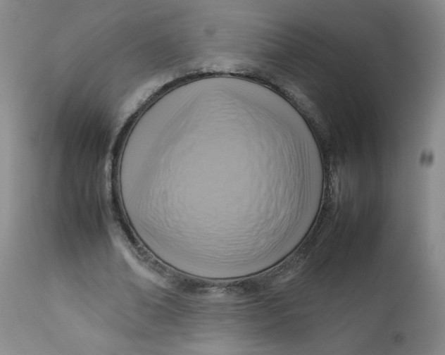 X0000112730678200909101452