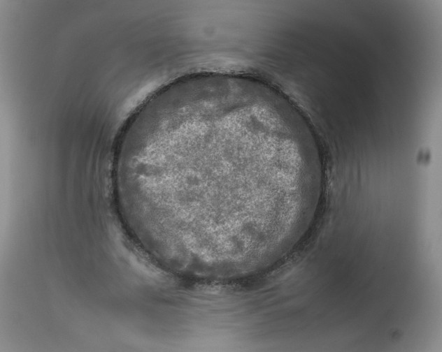 X0000112730679200909101452