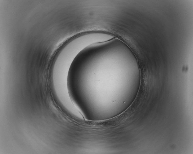 X0000112730680200909101452