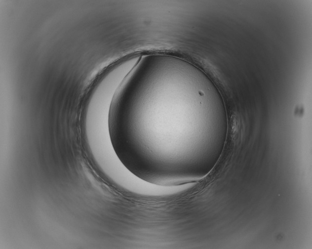 X0000112730684200909101452