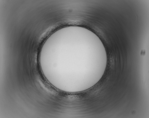 X0000112730686200909101452