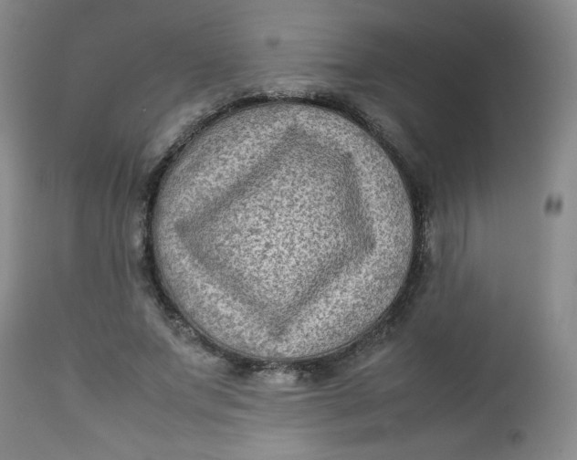 X0000112730687200909101452