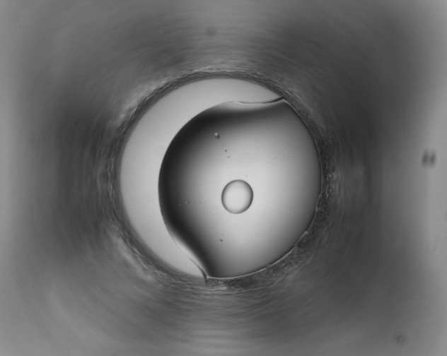 X0000112730688200909101452