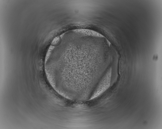 X0000112730689200909101452