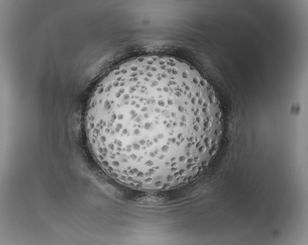 X0000112730691200909101452