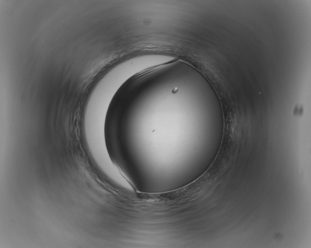 X0000112730692200909101452