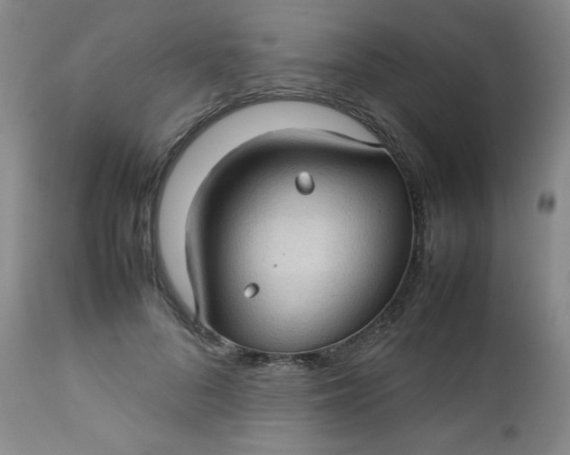 X0000112730696200909101452