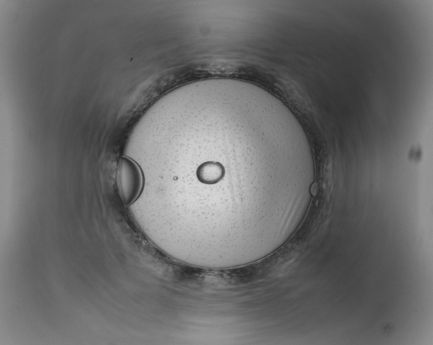 X0000112730697200909101452