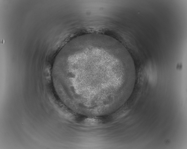 X0000112730699200909101452