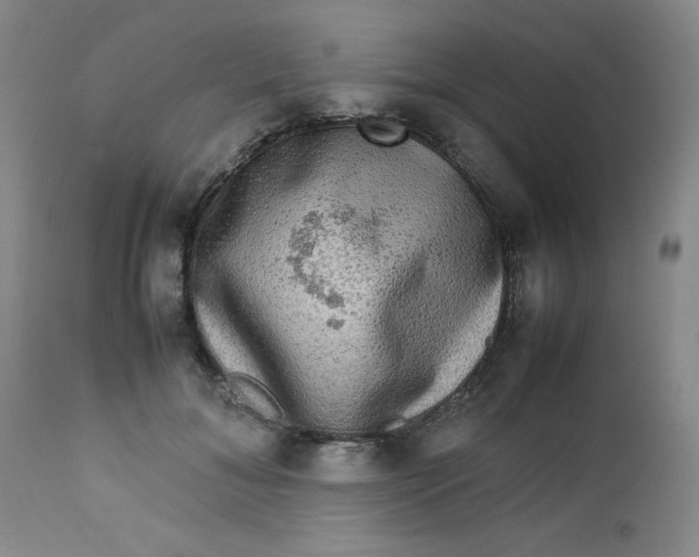 X0000112730700200909101452