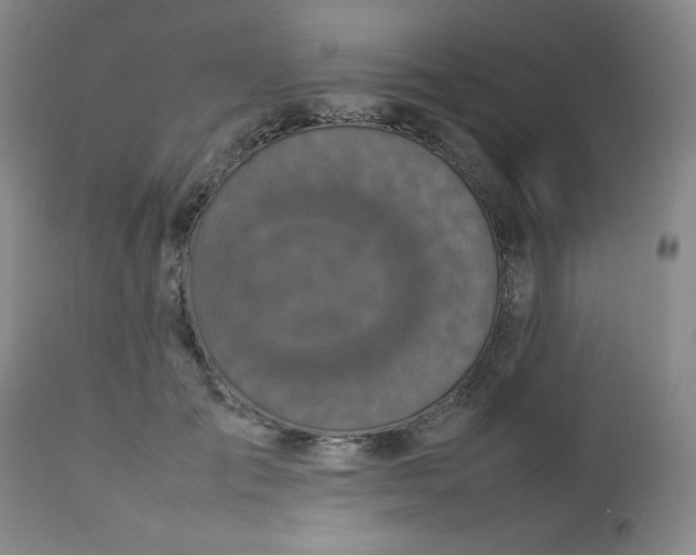 X0000112730701200909101452