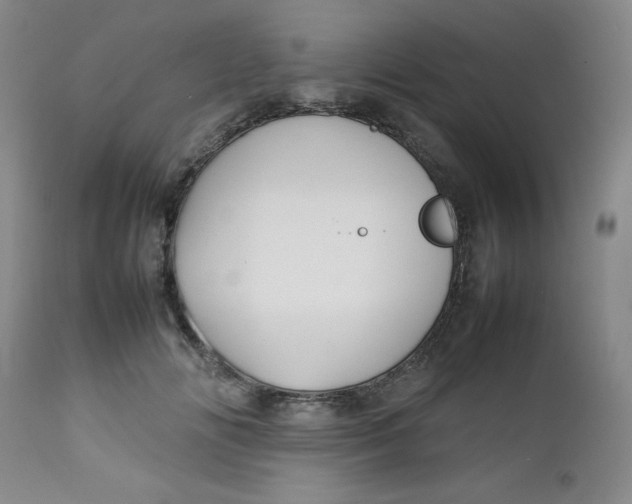 X0000112730702200909101452