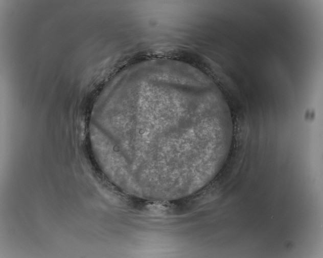 X0000112730703200909101452