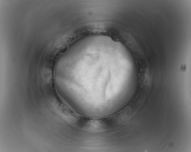 X0000112730704200909101452