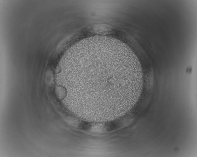 X0000112730705200909101452