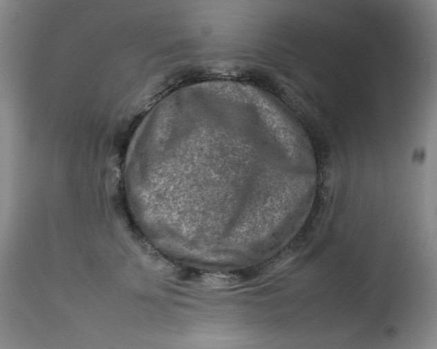 X0000112730707200909101452