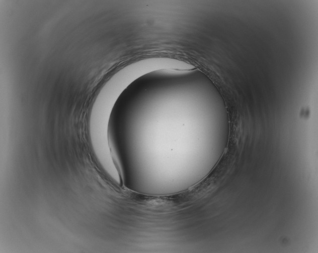 X0000112730708200909101452