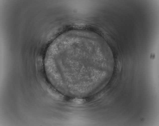 X0000112730711200909101452