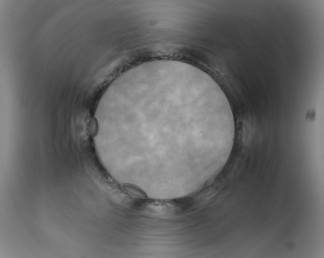 X0000112730712200909101452