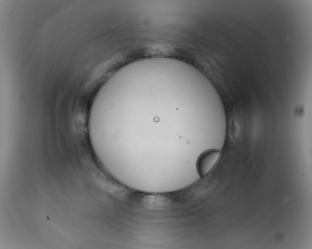 X0000112730714200909101451