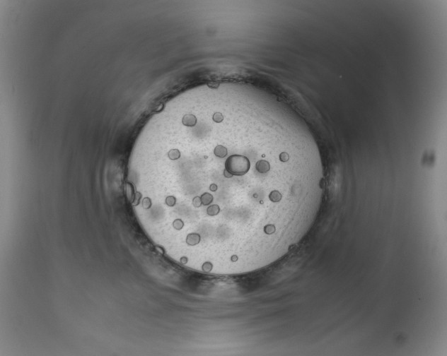 X0000112730715200909101451