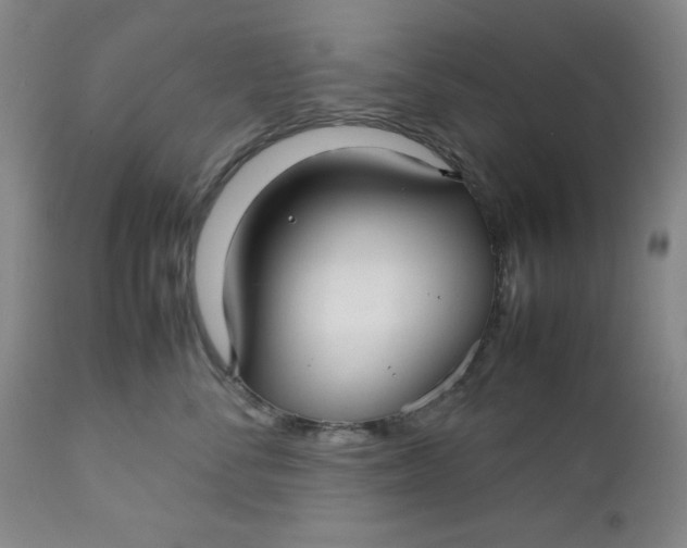 X0000112730716200909101451