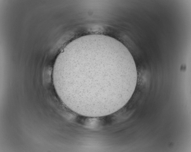 X0000112730717200909101451