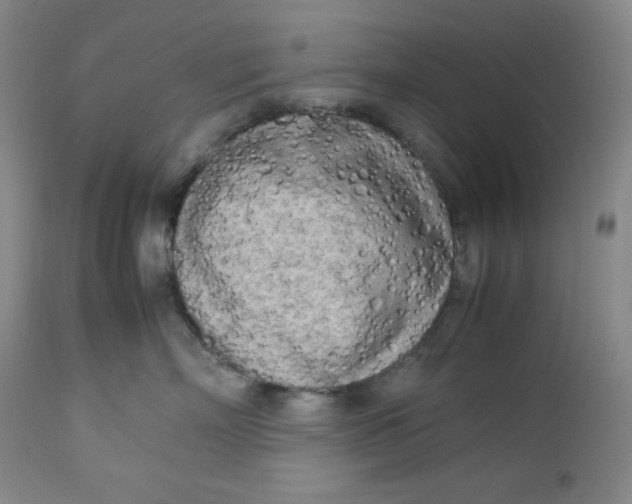 X0000112730718200909101451