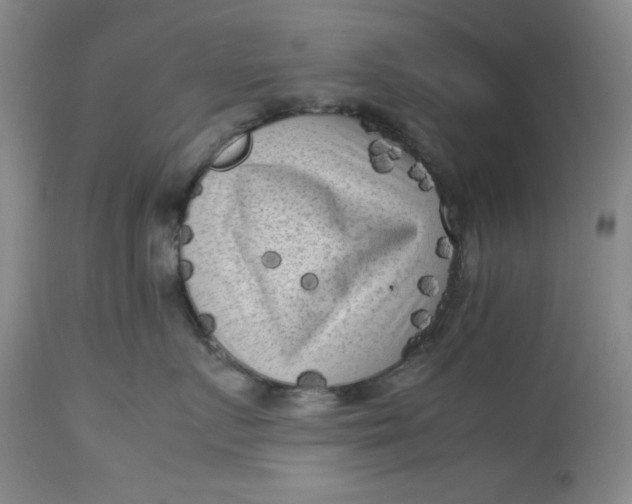 X0000112730719200909101451