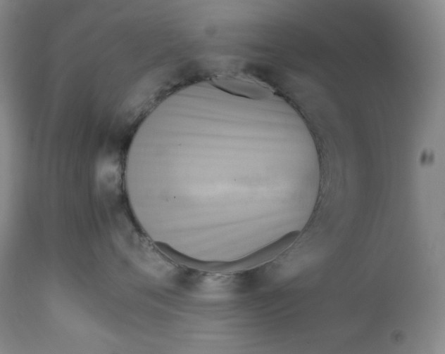 X0000112730720200909101451