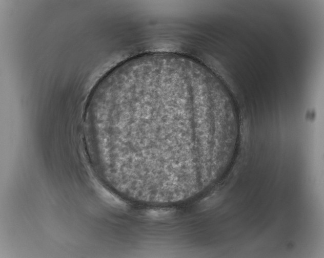 X0000112730721200909101451