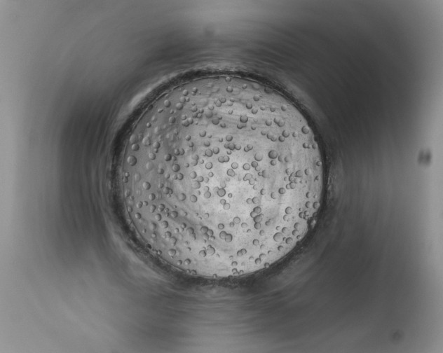 X0000112730722200909101451