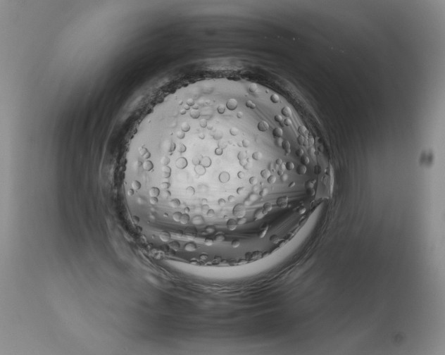 X0000112730723200909101451