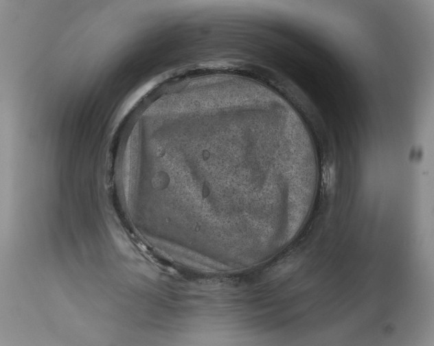 X0000112730724200909101451