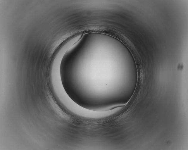 X0000112730725200909101451