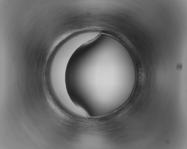 X0000112730726200909101451