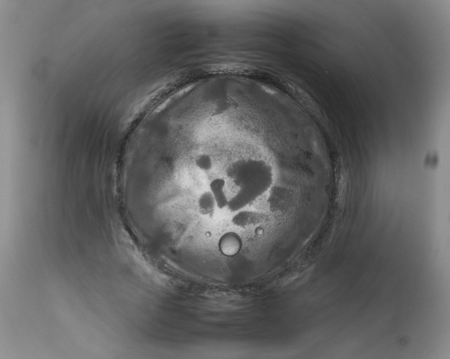 X0000112730729200909101451