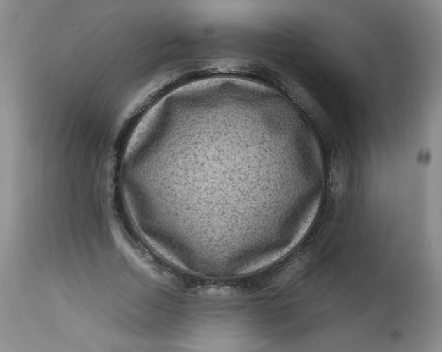 X0000112730730200909101451