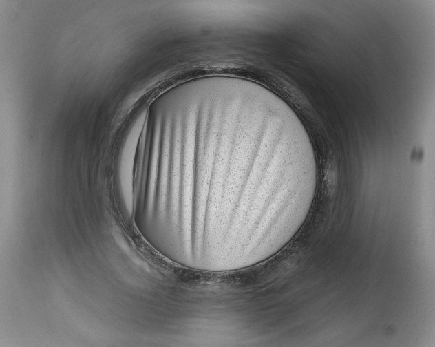 X0000112730732200909101451