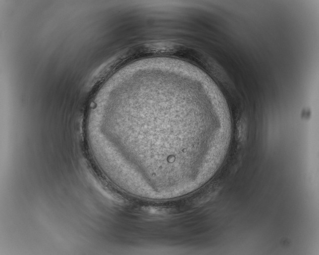 X0000112730733200909101451