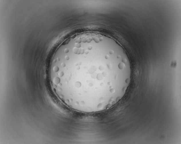 X0000112730734200909101451