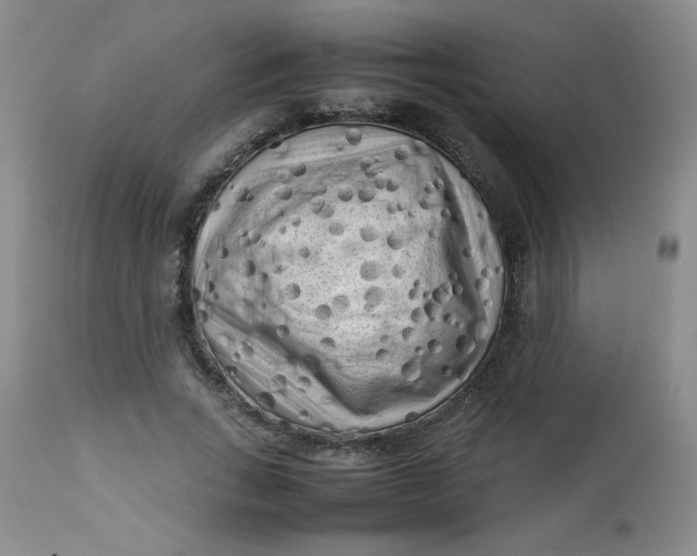 X0000112730735200909101451