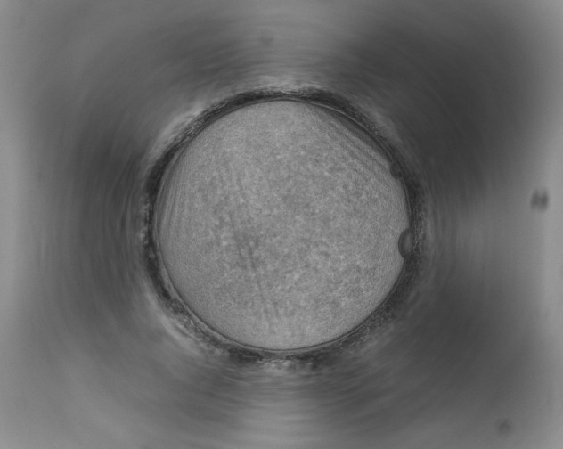 X0000112730736200909101451