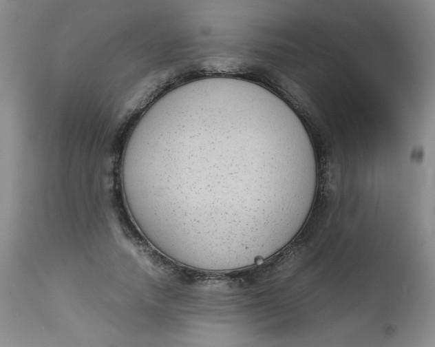 X0000112730738200909101451