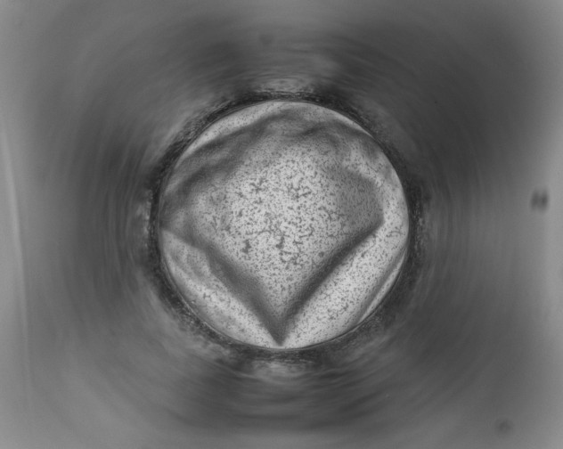 X0000112730739200909101451